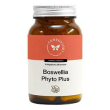 boswellia phyto plus 100cpsveg