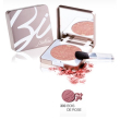 bionike defence color fard 303 bois rose