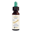 benoit fiori di bach holly
