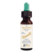 fiori di bach benoit walnut 10 ml ml gocce orali