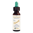 fiori di bach benoit white chestnut 10 ml ml gocce orali