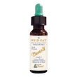 fiori di bach benoit wild oat 10 ml ml gocce orali