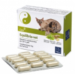aequilibriavet 60 cps