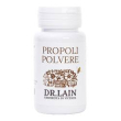 propoli polvere 30g