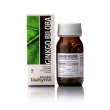 integratore alimentare ginkgo biloba 20 ml in gocce &ndash; supporto naturale per memoria, concentra
