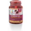 colours of life echinacea 60 capsule