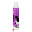 theraxidin shampoo 200 ml
