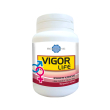 bodyline vigor life 40cps