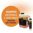 shampoo universale