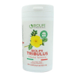 tribulus terrestris 60 cps
