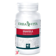 graviola 60 capsule