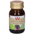winter artiglio del diavolo capsule vegetali 16,9 g
