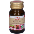 winter echinacea capsule 12,6 g