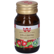 winter uva ursina capsule 14,6 g