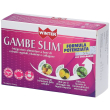 winter gambe slim compresse 39 g