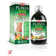 winter planta slim 12 erbe 500 ml