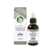 tintura magentina zenzero 50 ml - erboristeria magentina