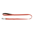 leopet guinz miami 100 20