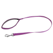 leopet guinz miami 100 20