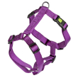 leopet pet miami 75-100 25