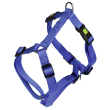 leopet pet miami 75-100 25