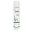 essential 6 sebo shampoo