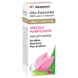 arko essentiel miscela purificante per diffusione 15 ml