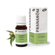 olio essenziale bio di eucalipto globulus 10 ml