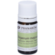 pranarom olio essenziale maggiorana sommitá fiorita 5 ml soluzione ora