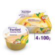 fortini creamy fruit multi fibre frutti gialli 4x100 g