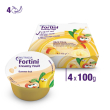 nutricia fortini creamy fruit multi fibre ai frutti gialli - risparmia