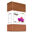 pitaya 200g 200 g
