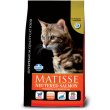 matisse neutered salmon 10kg
