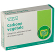 teva carbone vegetale compresse 40 pz