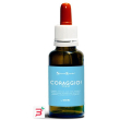 coraggio fobie natur mix 30 ml