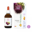 system hepar gtt 50ml