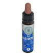 agrimony bio cromo 10ml