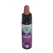 chicory bio cromo 10ml
