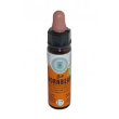 hornbeam bio cromo 10ml