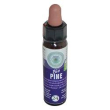 pine bio cromo 10ml