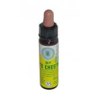 white chestnut bio cromo 10ml