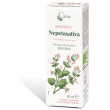 caira macerato nepetasativa gocce 50ml