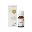 canfora olio essenziale 10ml