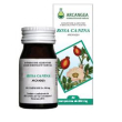 rosa canina 60cps