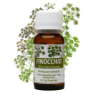 essentia finocchio oe 10ml