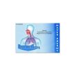 bromacetil 15 compresse effervescenti - integratore per le vie respiratorie