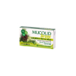 mucolid bronc 24caramelle