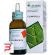 clorofilla soluzione idroalcolica 50 ml