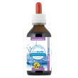 ecosilver argento colloidale ionico 100 ml