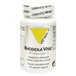 rhodiola 30cps